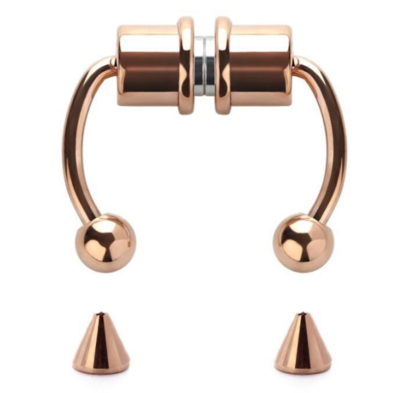316L Stainless Steel Magnetic  – Body Jewelry Hypoallergenic Bewertung und Preis